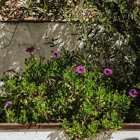 Casa La Temprana * Montan